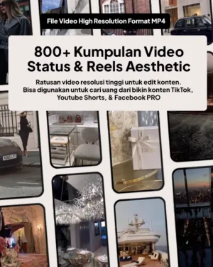 8000+ Stok Video Reels Faceless Aesthetics